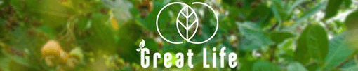 Great Life Ph. logo